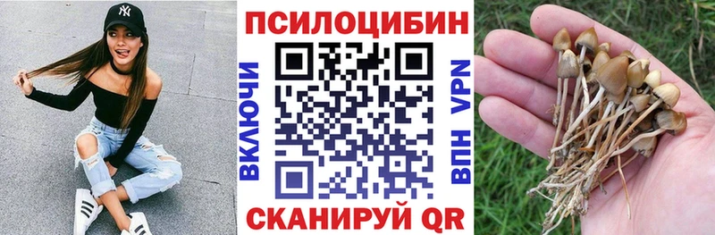 Галлюциногенные грибы прущие грибы  как найти наркотики  Талдом 
